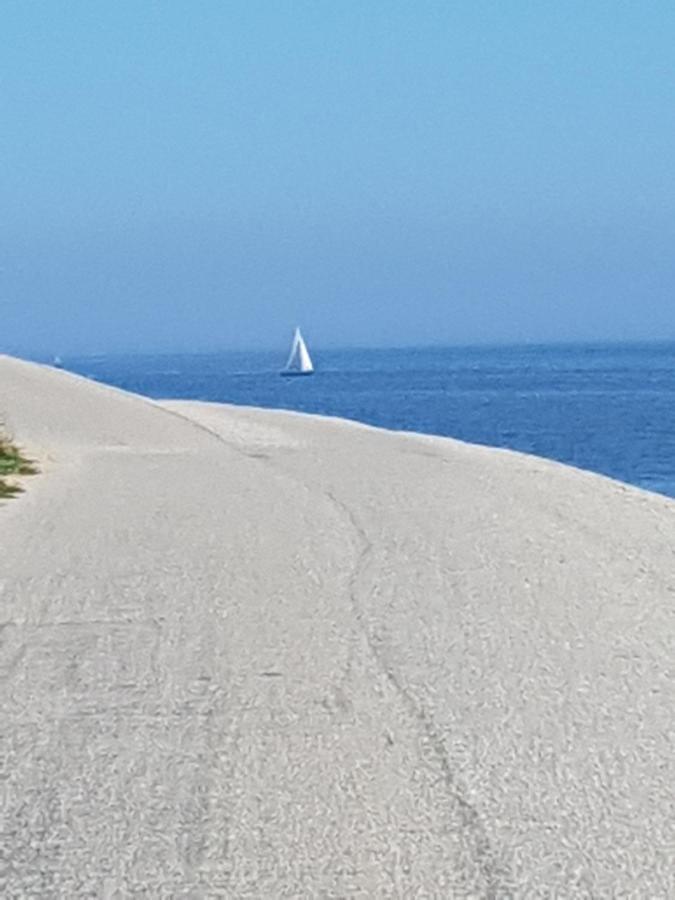 Romantisch Huisje Nabij Het Strand Met Uitzicht Op De Tulpenvelden Юлианадорп Экстерьер фото