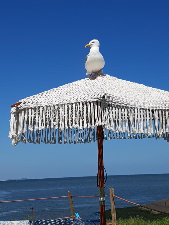 Romantisch Huisje Nabij Het Strand Met Uitzicht Op De Tulpenvelden Юлианадорп Экстерьер фото