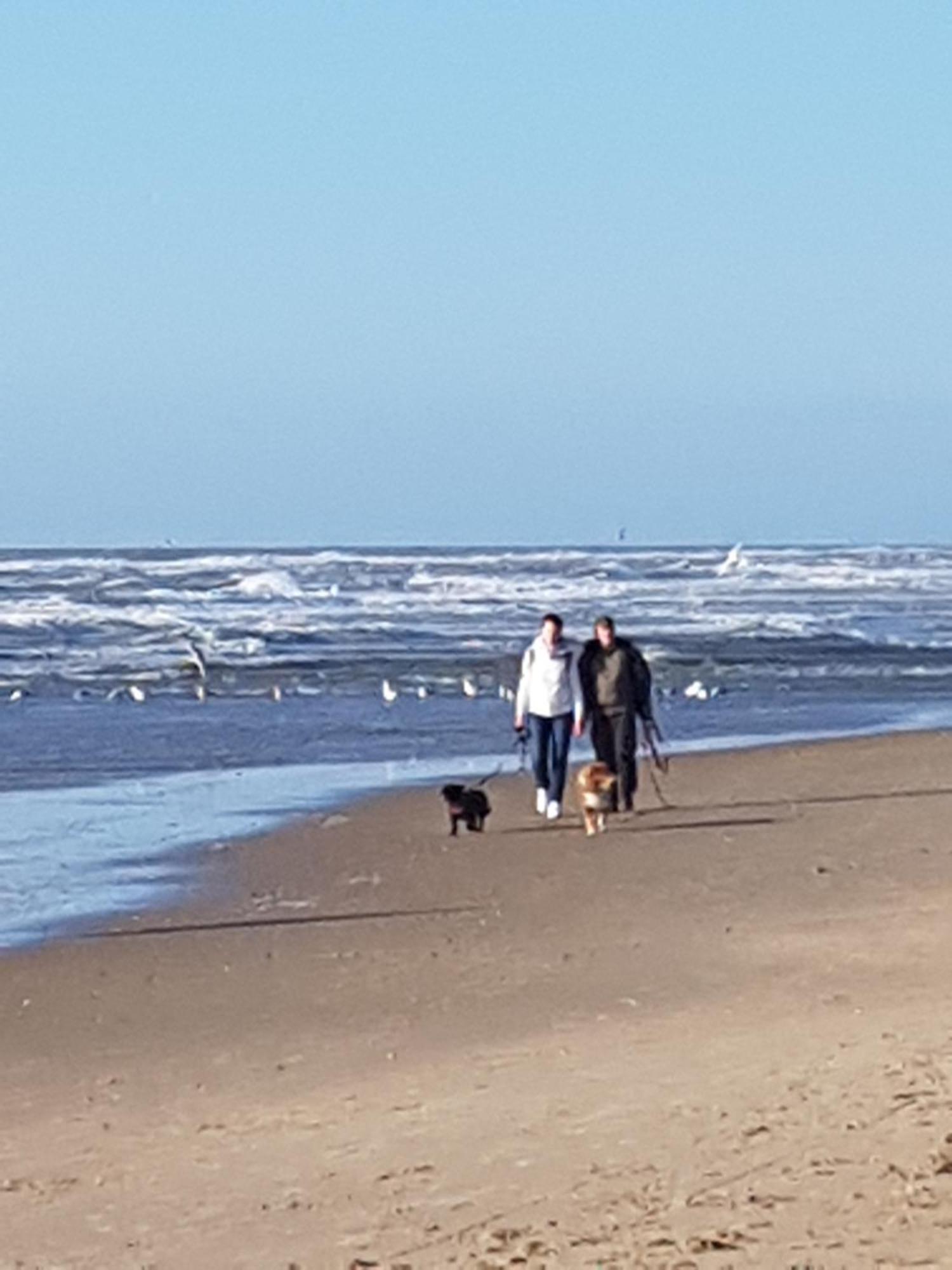 Romantisch Huisje Nabij Het Strand Met Uitzicht Op De Tulpenvelden Юлианадорп Экстерьер фото