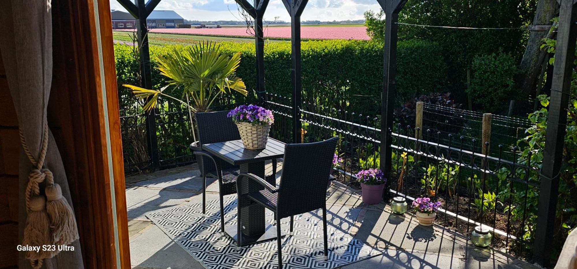 Romantisch Huisje Nabij Het Strand Met Uitzicht Op De Tulpenvelden Юлианадорп Экстерьер фото