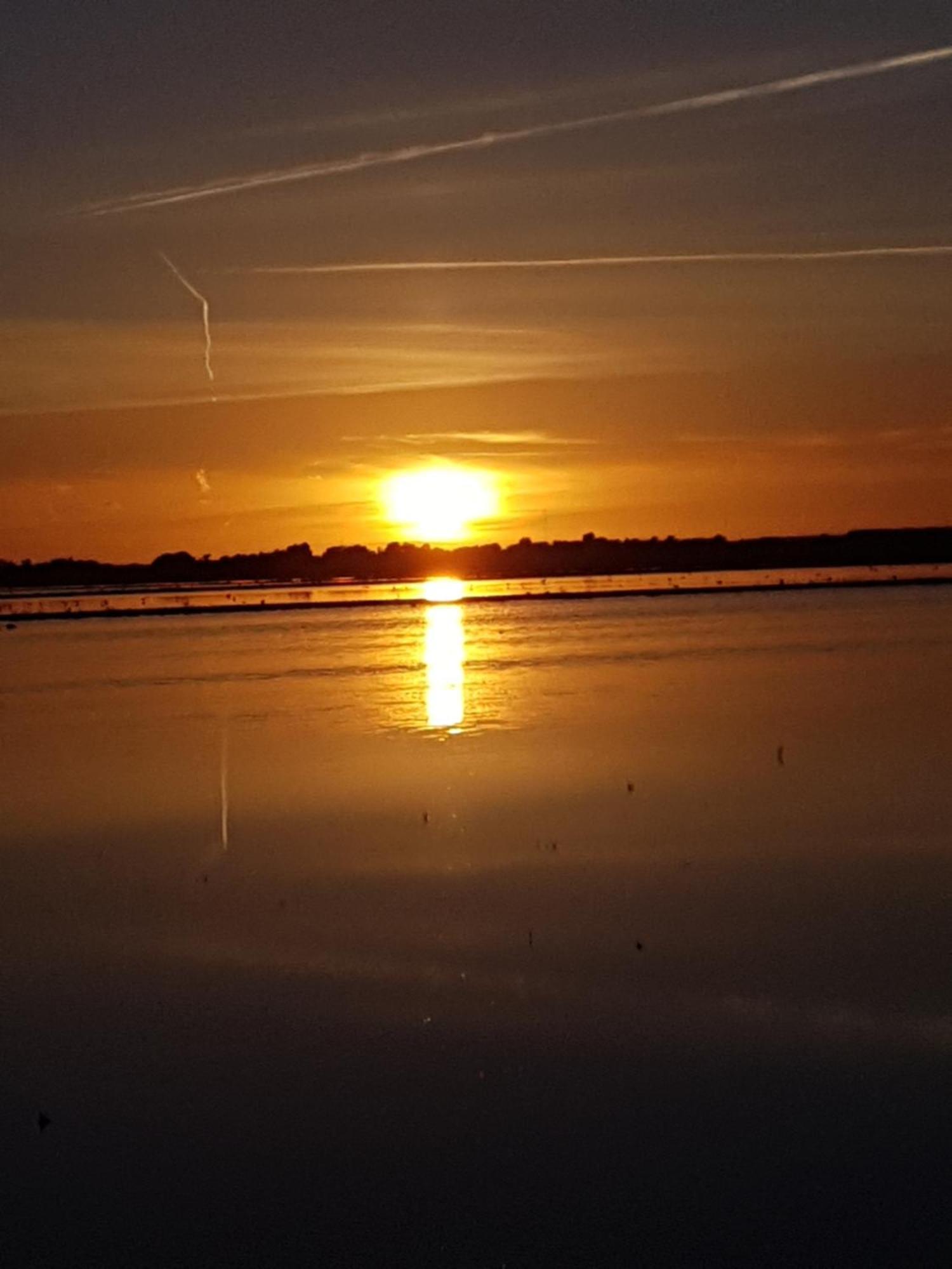 Romantisch Huisje Nabij Het Strand Met Uitzicht Op De Tulpenvelden Юлианадорп Экстерьер фото