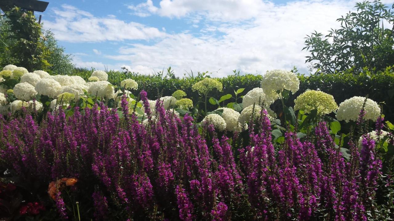 Romantisch Huisje Nabij Het Strand Met Uitzicht Op De Tulpenvelden Юлианадорп Экстерьер фото